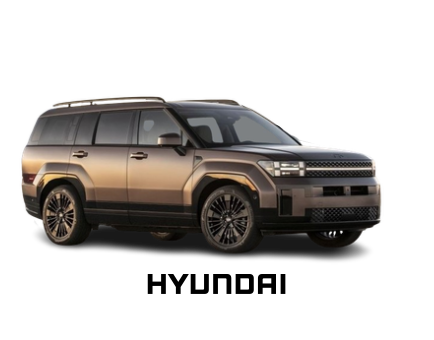 Oficialus atstovas hyundai